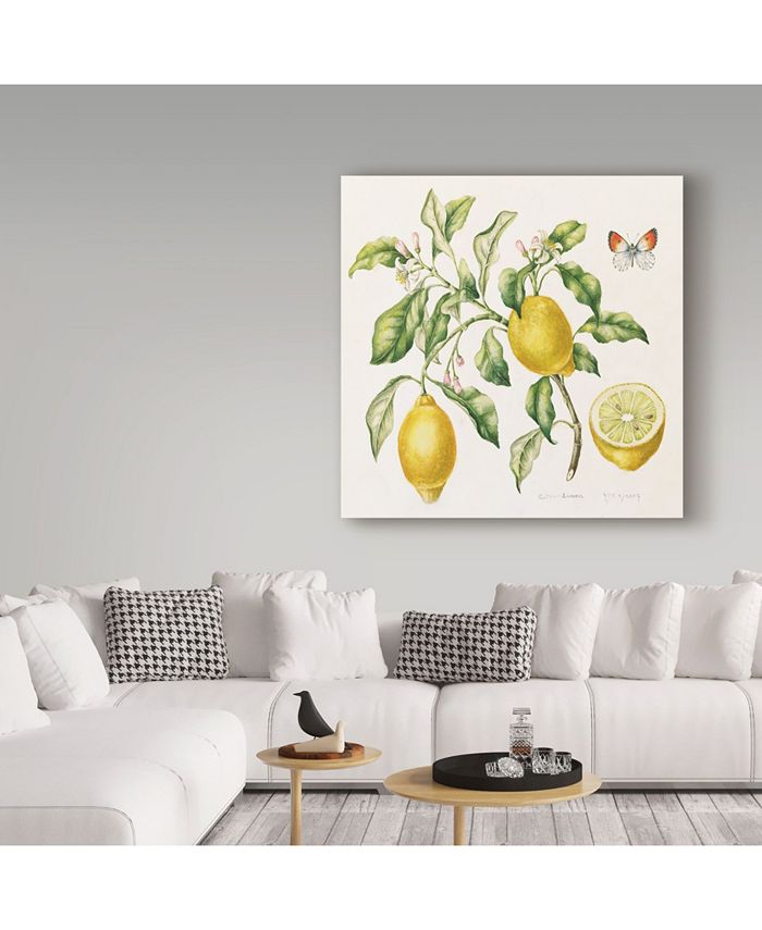 Trademark Global Janneke Brinkman-Salentijn 'Lemon Bouquet' Canvas Art ...
