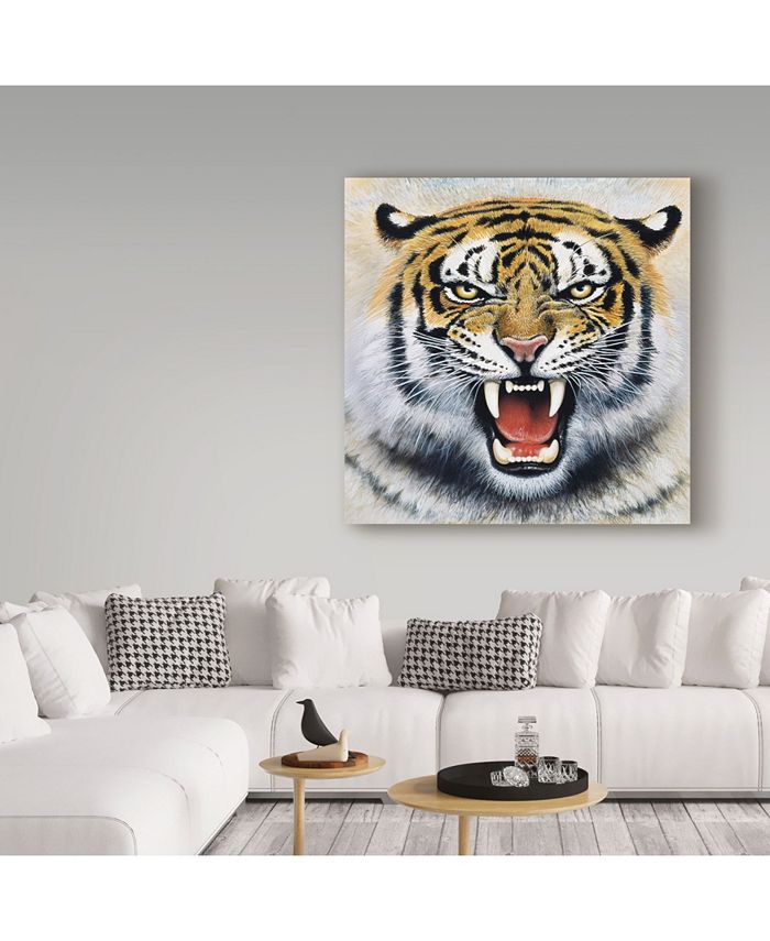 Trademark Global Harro Maass 'Tiger Portrait 2' Canvas Art - 35