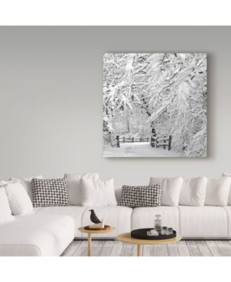Incredi 'Winter Wonderland White' Canvas Art - 35" x 35"