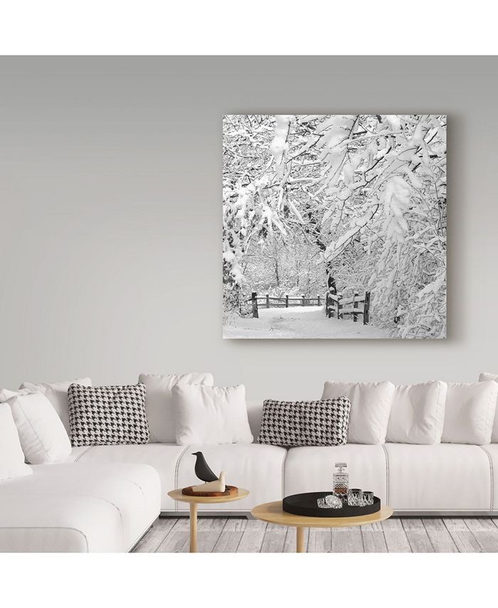 Trademark Global Incredi 'Winter Wonderland White' Canvas Art - 35
