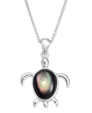 image of Cultured Tahitian Mother of Pearl Turtle 18