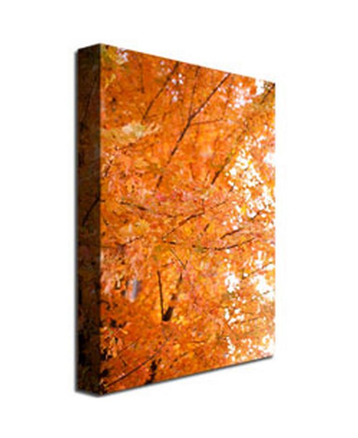 Trademark Global Ariane Moshayedi 'Orange Leaves' Canvas Art - 30