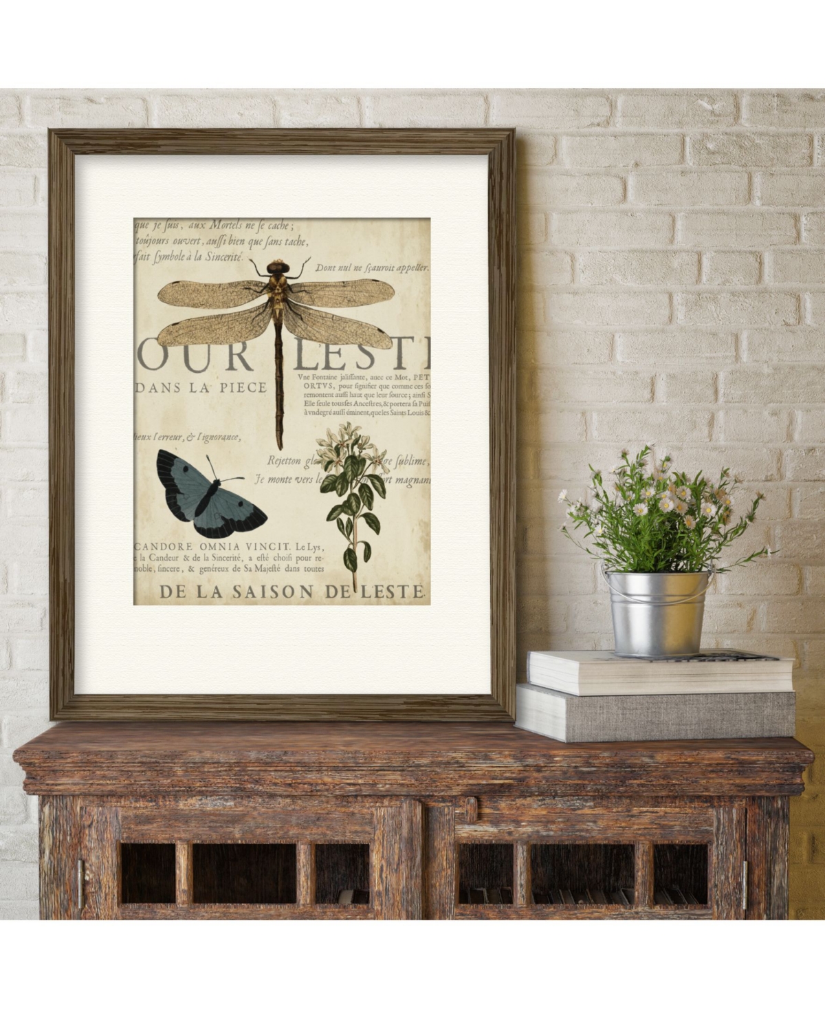 Courtside Market Specimen of Natural Beauty Ii Framed and Matted Art