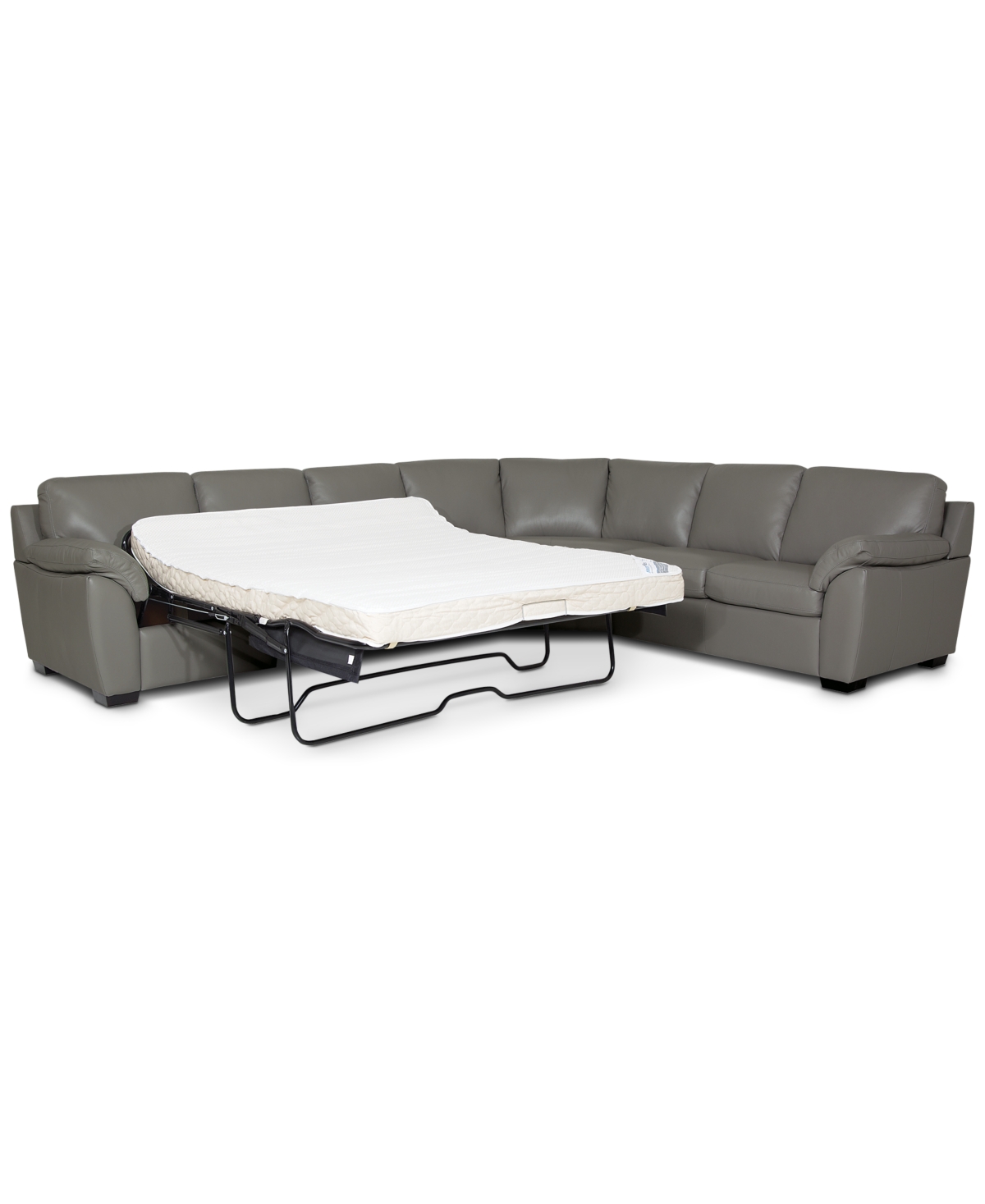 Leather Queen Sleeper Sectional Sofa