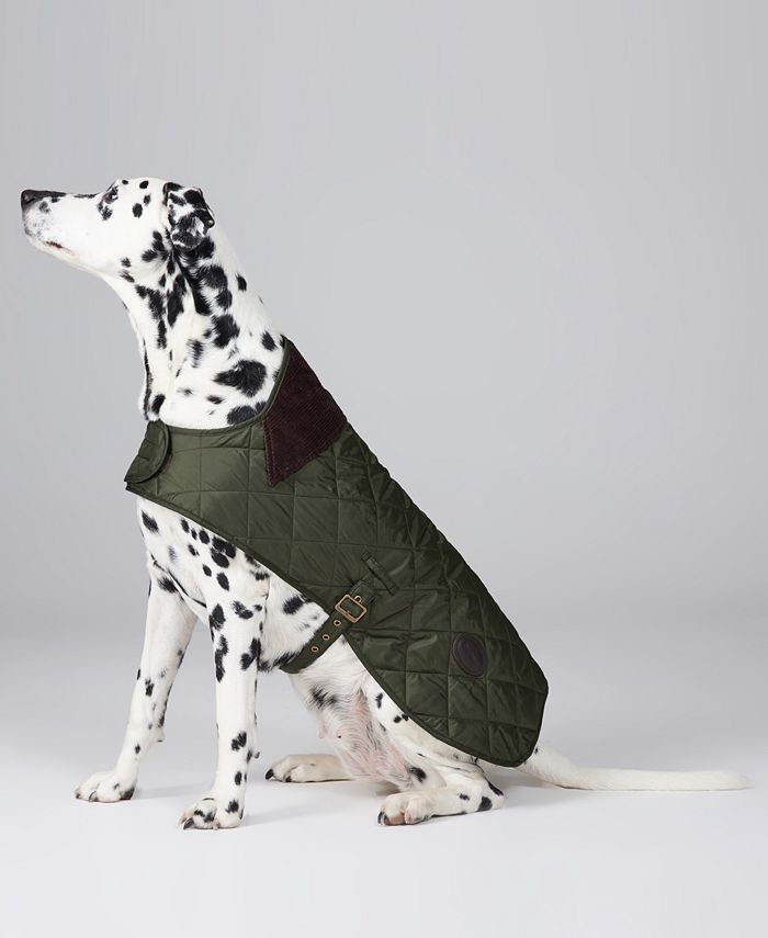 Large versace dog jackets