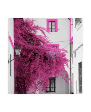 Trademark Global Philippe Hugonnard Made In Spain 3 Pink Tree In Seville Canvas Art In Multi