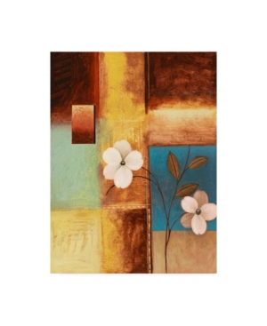 Trademark Global Pablo Esteban White Flowers And Squares Canvas Art In Multi