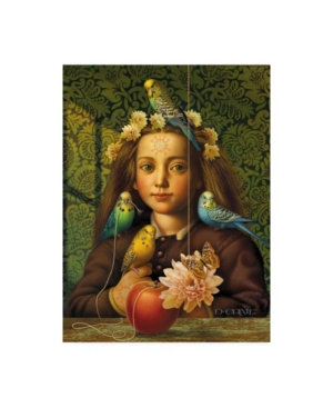 Trademark Global Dan Craig Girl With Parakeets Canvas Art In Multi