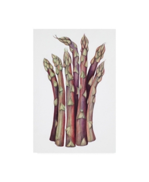Trademark Global Deborah Kopka Asparagus Muted Colors Canvas Art In Multi