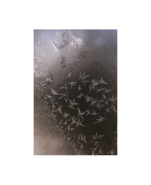 Trademark Global Kurt Shaffer Photographs Like A Flock Of Ice Crystal Birds Canvas Art In Multi