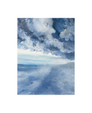 Trademark Global Albena Hristova The Sea And Clouds Canvas Art In Multi