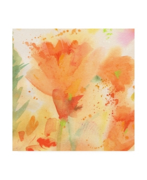 Trademark Global Sheila Golde Windblown Poppies #2 Canvas Art In Multi