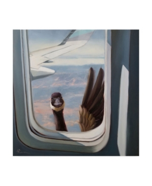Lucia Hefferna Friendly Skies Canvas Art - 155