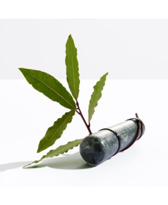 Men's Invictus Deodorant Stick, 2.2 oz