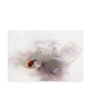 Ellen Van Deelen Exercise Canvas Art - 20