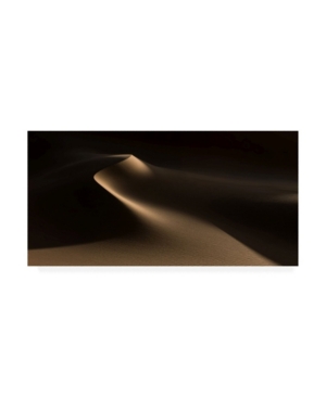 Trademark Global Xenia Ivanoff Erb Natural Curves Namib Desert Canvas Art In Multi
