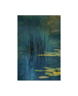 Trademark Global Andreas Agazzi Aqua Lily Canvas Art In Multi