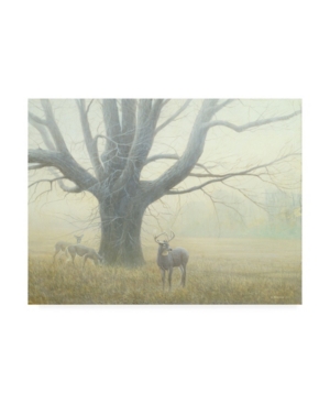Michael Budden Winter Mist Buck Canvas Art - 20