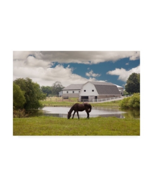 Trademark Global Monte Nagler Horse And Barn Shipshewana Indiana Color Canvas Art In Multi