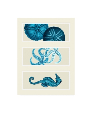 Trademark Global Fab Funky Three Panel Print Sea Urchin Starfish And Seahorse In Blue Canvas Art In Multi