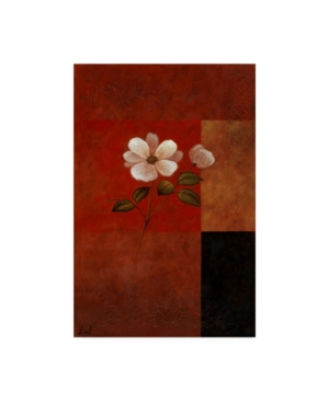 Trademark Global Pablo Esteban White Floral Bold Red 1 Canvas Art In Multi