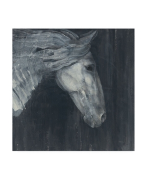 Trademark Global Albena Hristova Midnight Horse Canvas Art In Multi