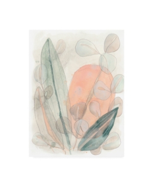 Trademark Global June Erica Vess Leaf Scatter I Canvas Art In Multi