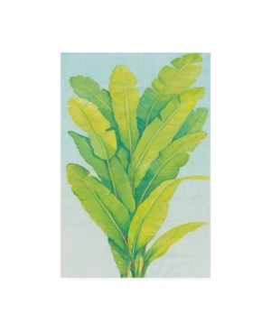 Trademark Global Tim Otoole Chartreuse Tropical Foliage Ii Canvas Art In Multi