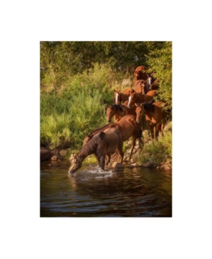 Trademark Global Ph Burchett River Horses I Canvas Art In Multi