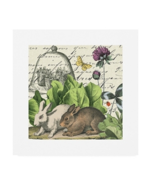 Shop Trademark Global Wild Apple Portfolio Garden Rabbit Ii Canvas Art In Multi