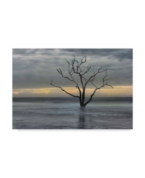 Danny Head Gray Skies Canvas Art - 20