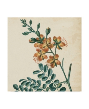 Vision Studio Garden Bounty Iii Canvas Art - 15