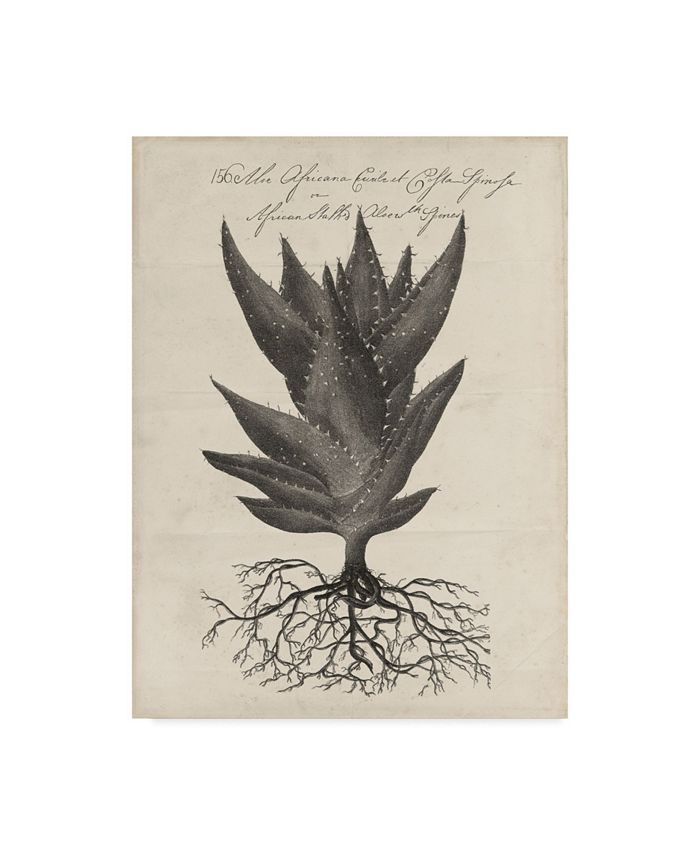 Trademark Global - 