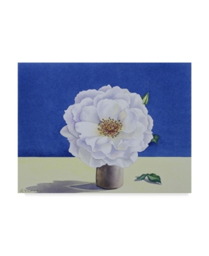 Trademark Global Christopher Ryland White Rose, 2018 Canvas Art In Multi