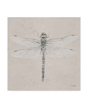 Trademark Global James Wiens Soft Summer Sketches Vi Canvas Art In Multi