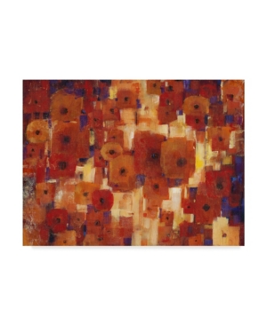 Trademark Global Tim Otoole Transitional Poppies I Canvas Art In Multi
