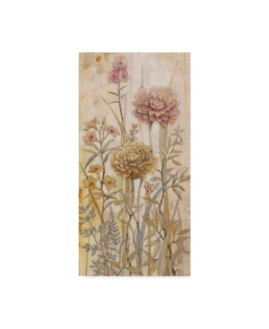 Trademark Global Tim Otoole Floral Chinoiserie I Canvas Art In Multi