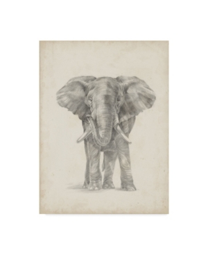 Trademark Global Ethan Harper Elephant Sketch Ii Canvas Art In Multi