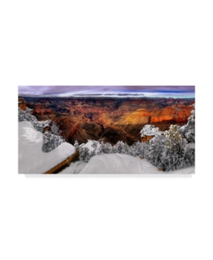 Trademark Global David Drost Snowy Grand Canyon Vii Canvas Art In Multi