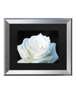 Trademark Global Kurt Shaffer White Rose Ii Matted Framed Art In Multi