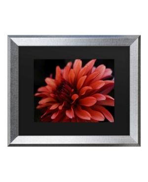 Trademark Global Kurt Shaffer Red Dhalia Matted Framed Art In Multi