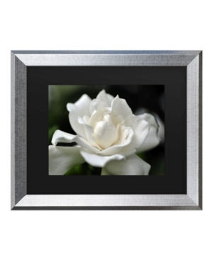 Trademark Global Kurt Shaffer Lovely Gardenia Matted Framed Art In Multi