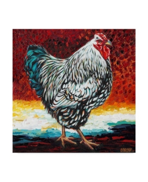 Trademark Global Carolee Vitaletti Fancy Chicken I Canvas Art In Multi
