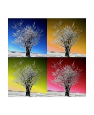 Trademark Global Philippe Sainte-laudy Tree Color Panels Canvas Art In Multi