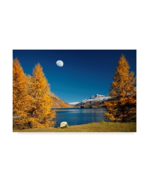 Trademark Global Philippe Sainte-laudy The Rock And The Moon Canvas Art In Multi