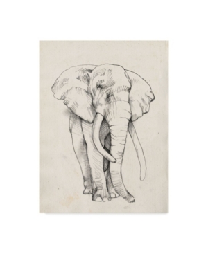 Trademark Global Jennifer Goldberger Elephant Portrait Bold Ii Canvas Art In Multi