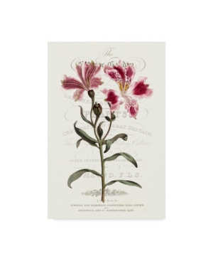 Vision Studio Flower Garden Varietals Ii Canvas Art - 20