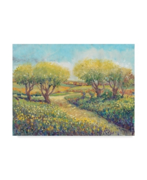 Tim Otoole Garden Path Ii Canvas Art - 20