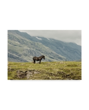 Danny Head Standing Alone Canvas Art - 20