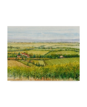 TRADEMARK GLOBAL TIM OTOOLE WINE COUNTRY VIEW I CANVAS ART